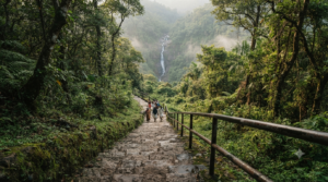 Akasha Ganga Tirumala timings guide - stone steps descending to the forest waterfall