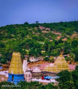 significance of simhachalam chandanotsavam festival scene