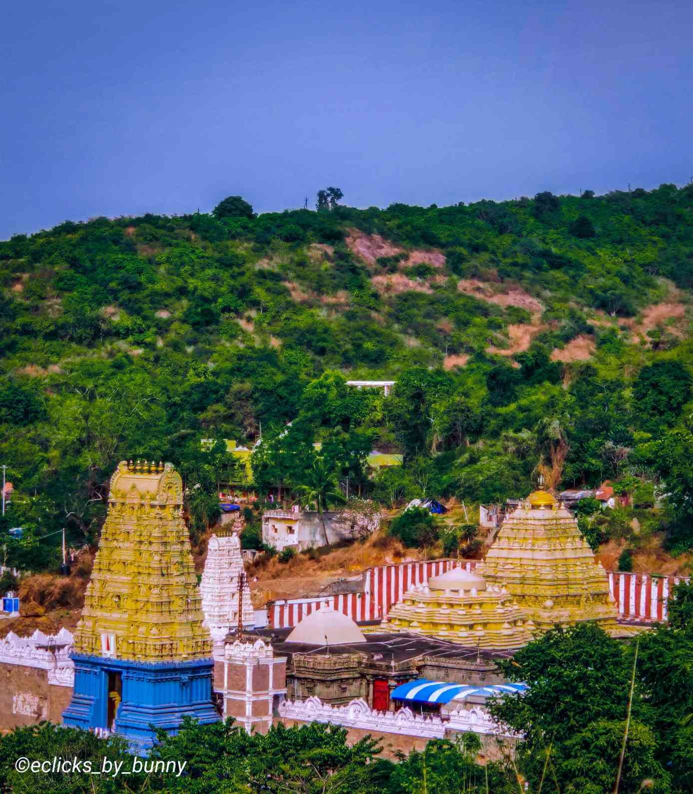 significance of simhachalam chandanotsavam festival scene